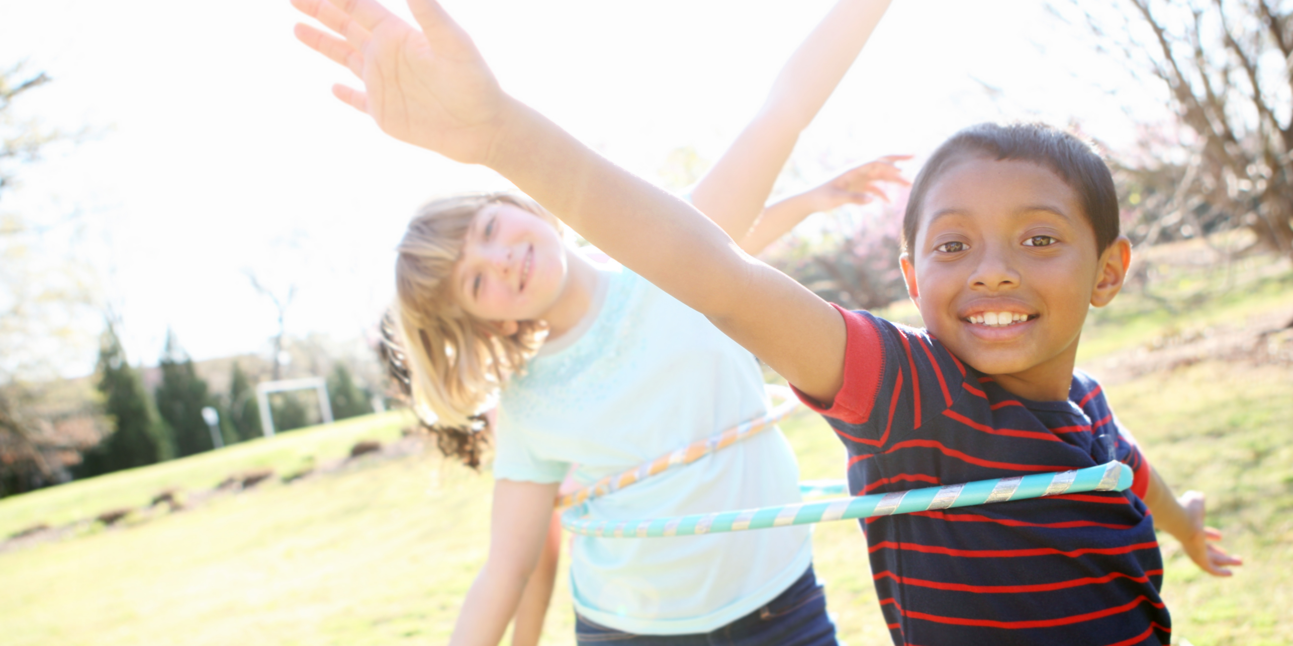 Park PROS Plan Banner