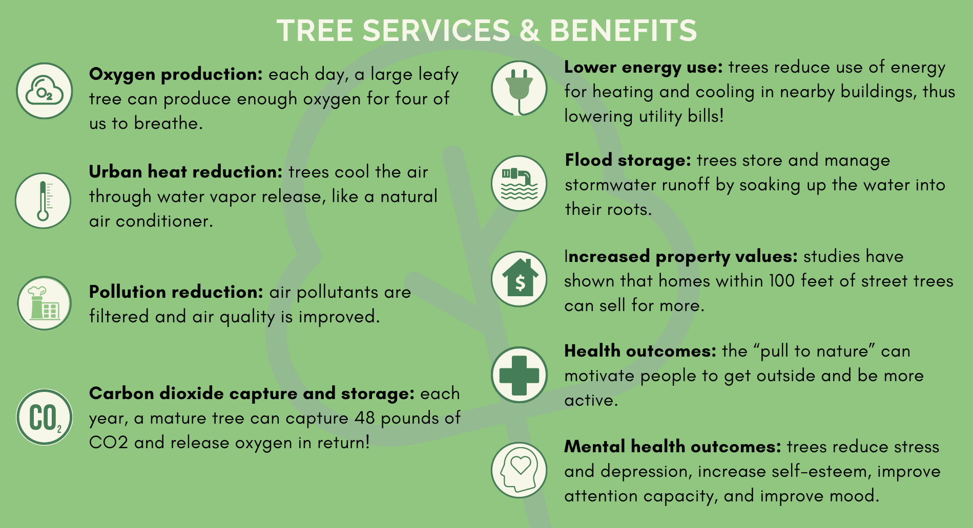tree services web graphic