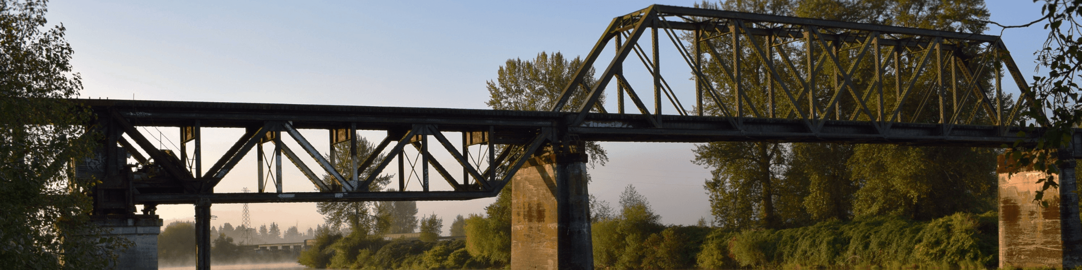 Bridge Homepage image size