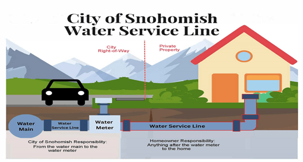 Service Line Graphic
