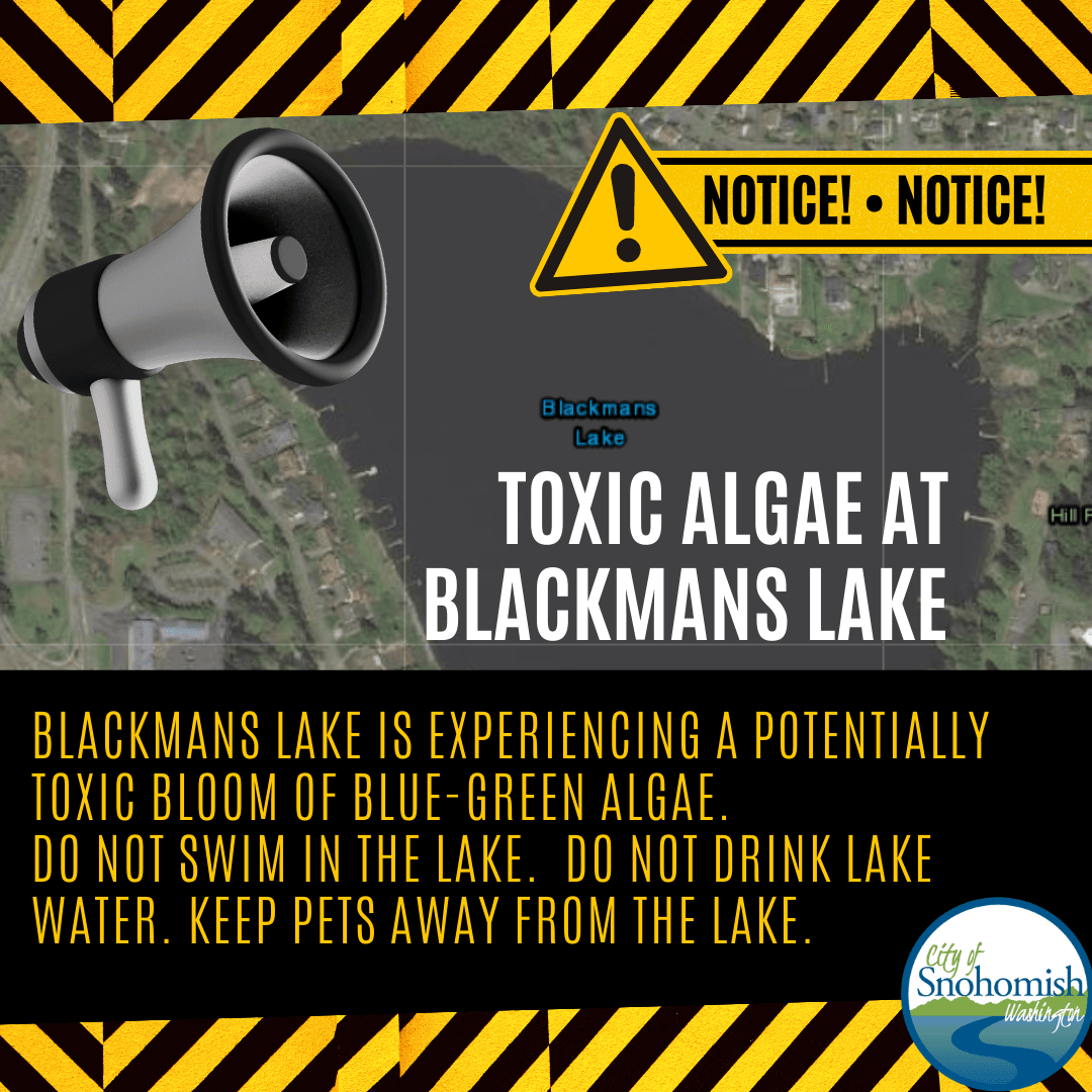 Algae bloom warning