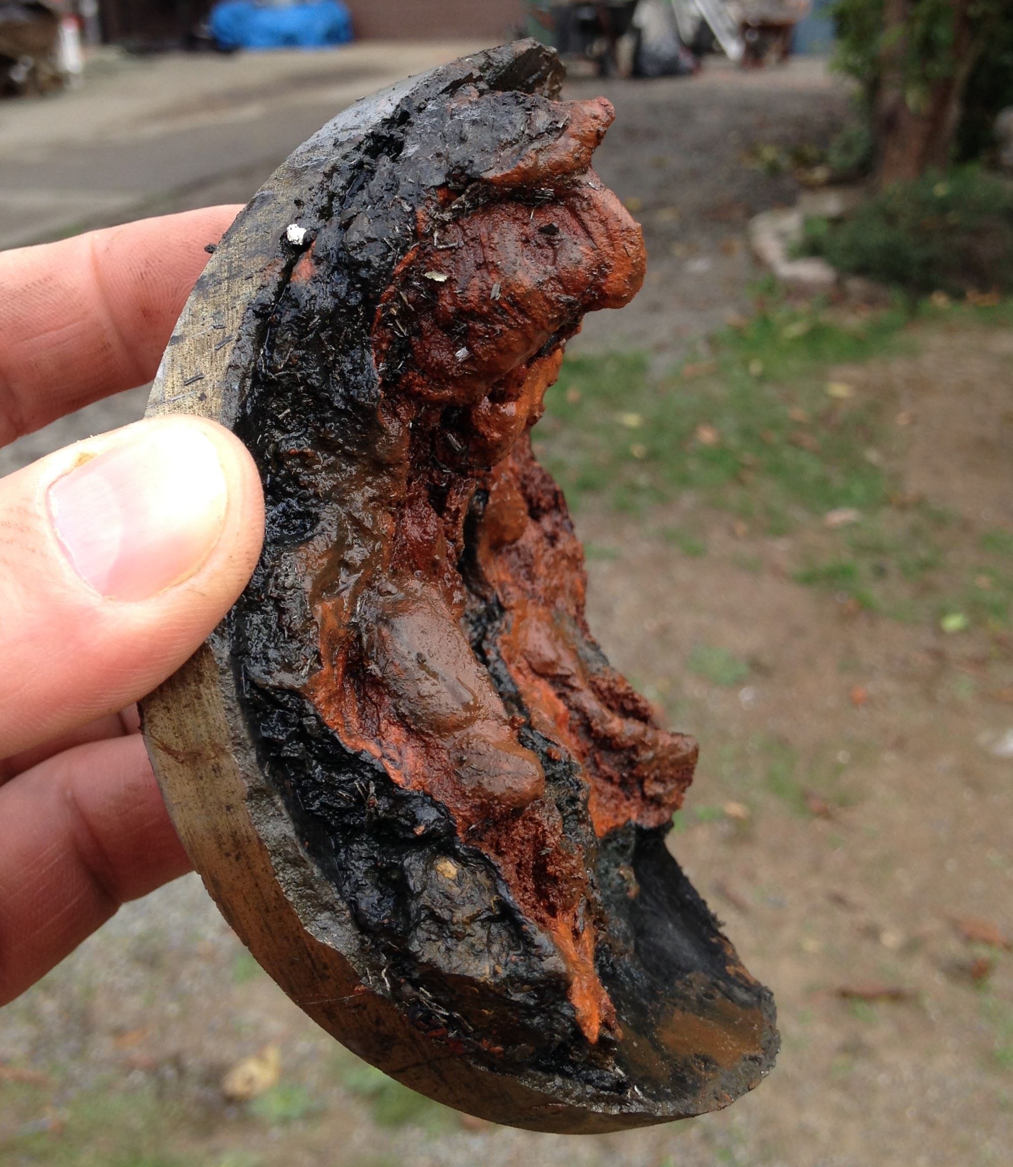 Mineral Buildup in Metal Pipes